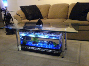 Aquarium Coffee Table 7 Steps With Pictures throughout sizing 1024 X 768