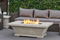 Real Flame Monaco 55 In Fiber Concret Rectangle Propane Gas Fire with dimensions 1000 X 1000