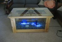 Spectacular Diy Fish Tank Coffee Table Free Guide And Tutorial intended for proportions 1024 X 768