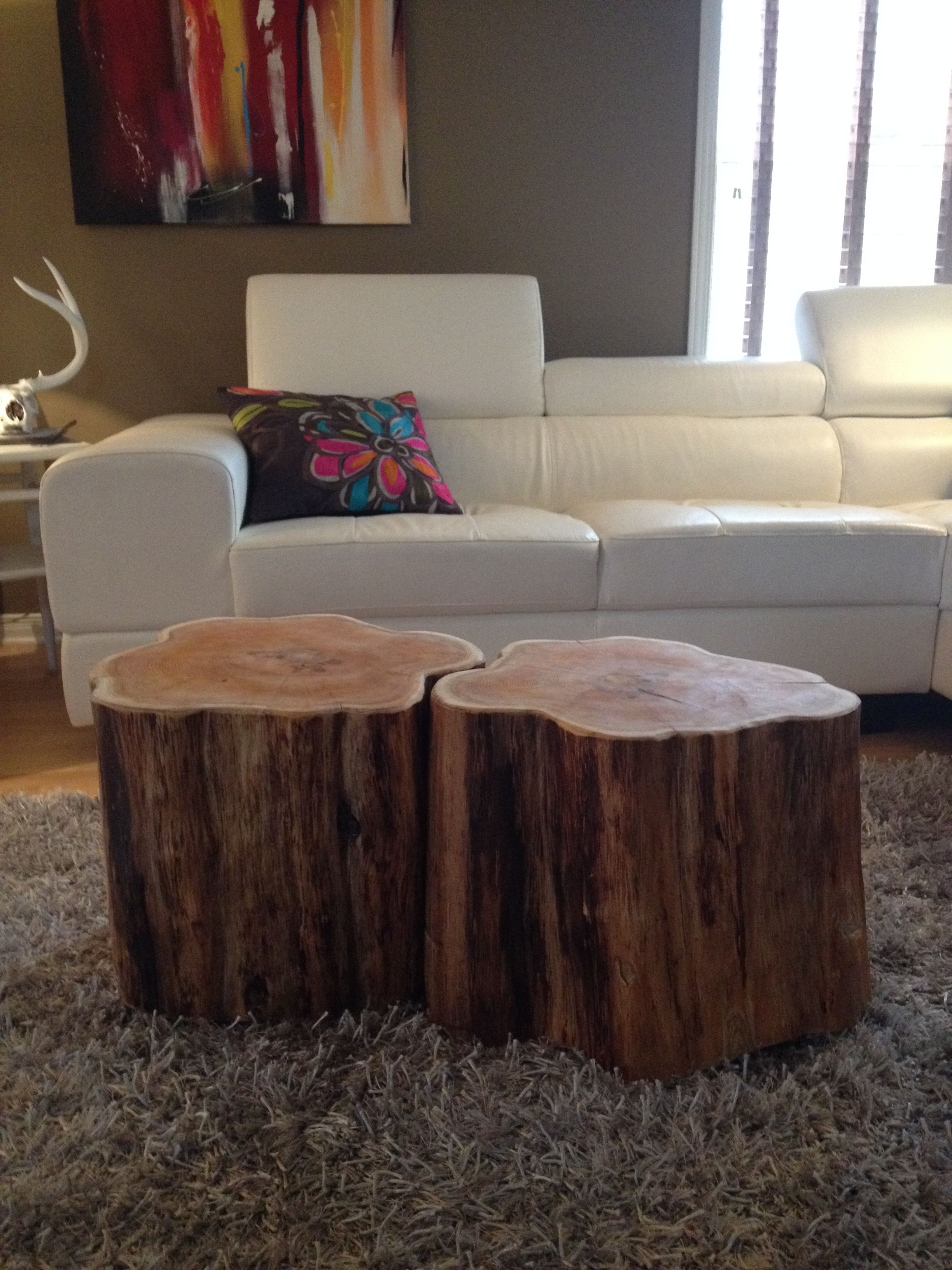 Stump Coffee Tables Serenitystumps Tree Trunk Tables Stump for sizing 2448 X 3264