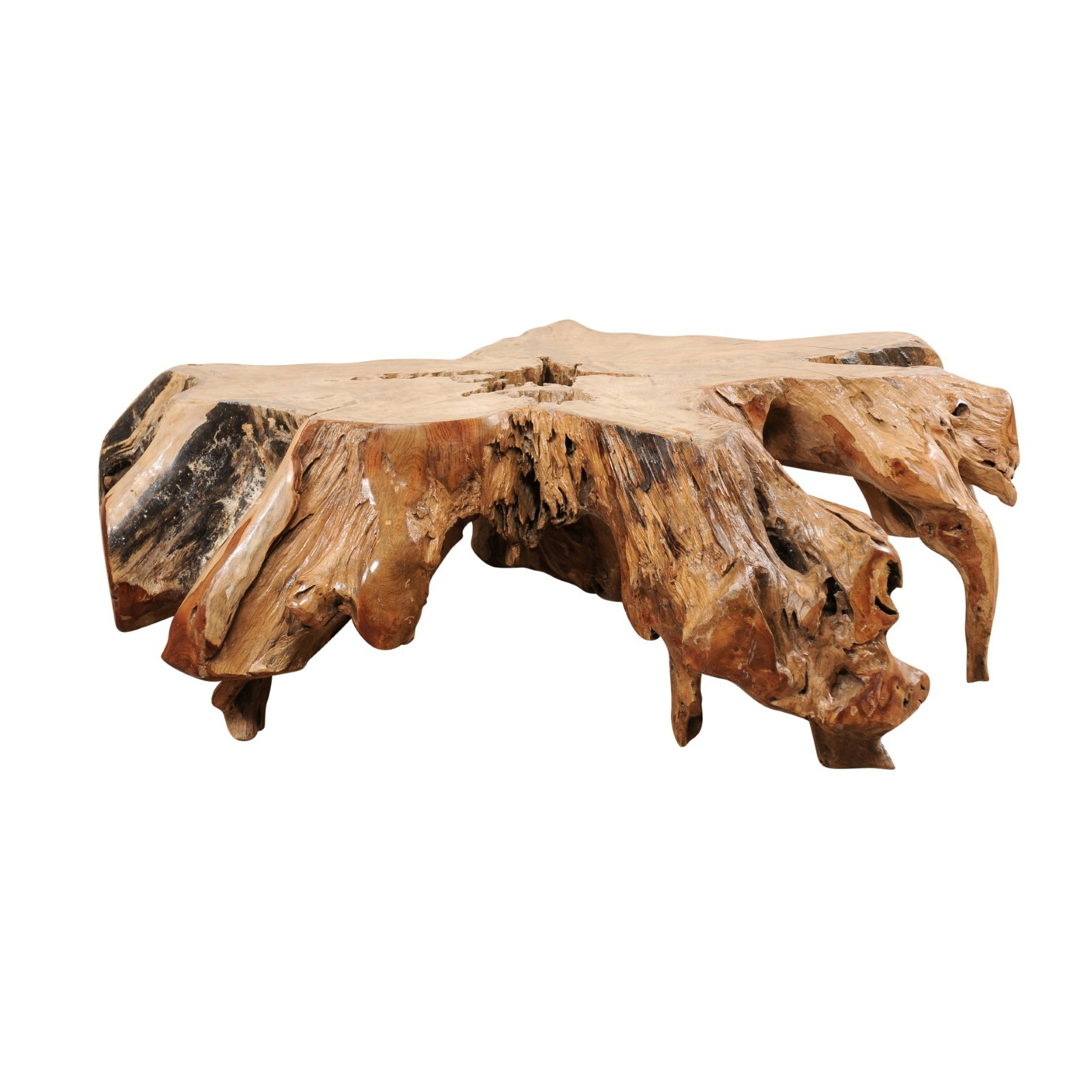 Teak Root Coffee Table 1220 A Tyner Antiques throughout dimensions 1600 X 1600