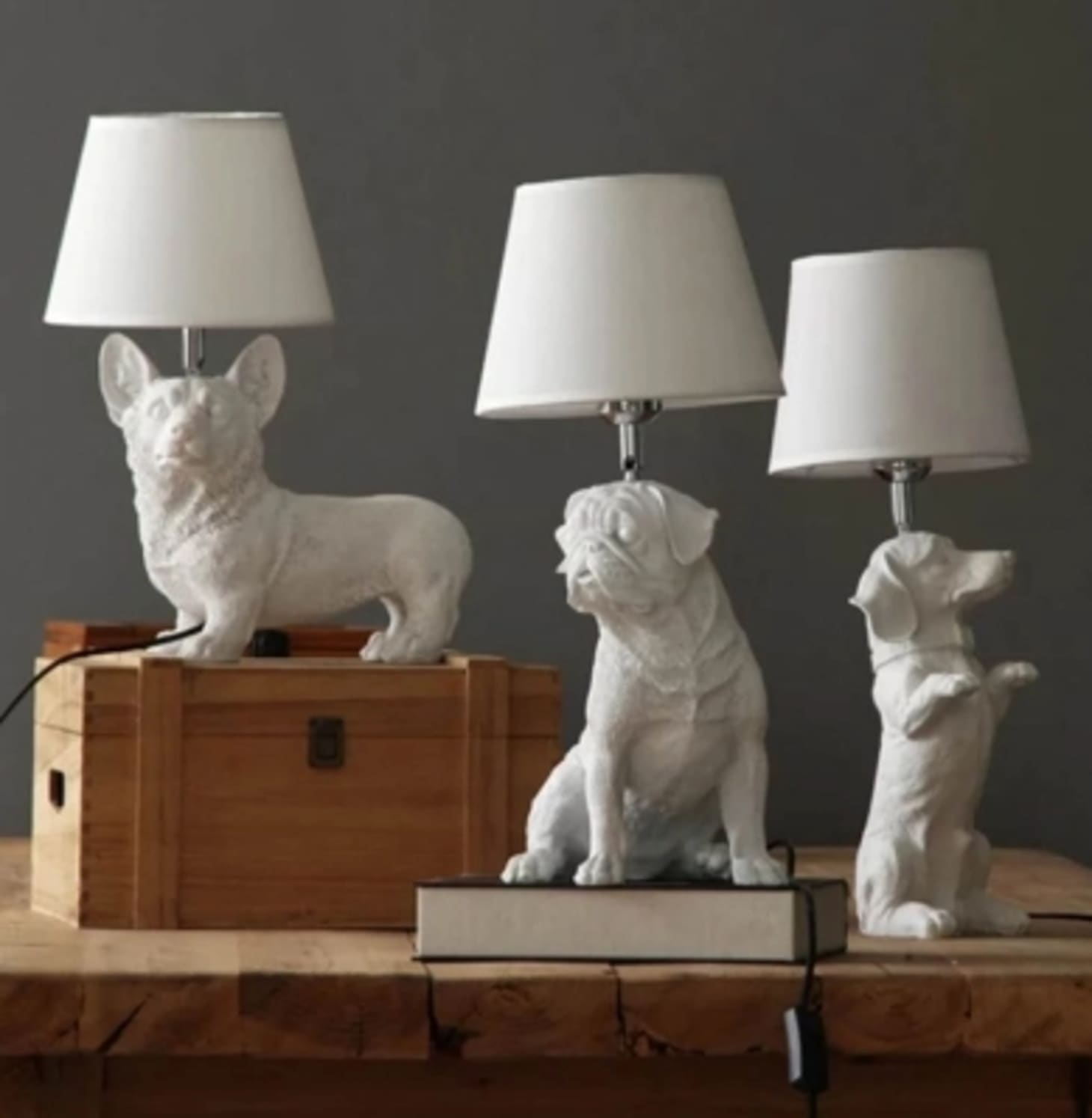 Small Table Lamp Animal • Display